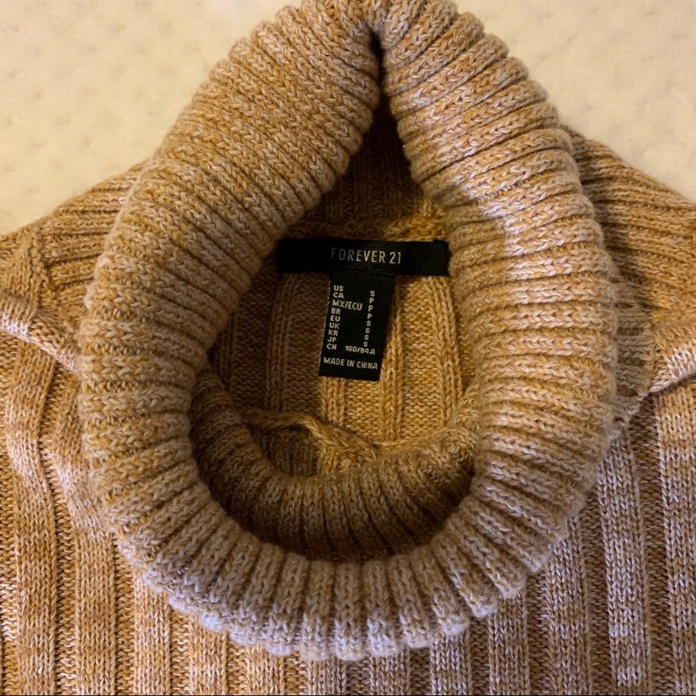 Forever 21 Cropped Sweater